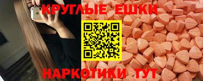 стаф Шелехов