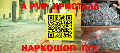 стаф Шелехов
