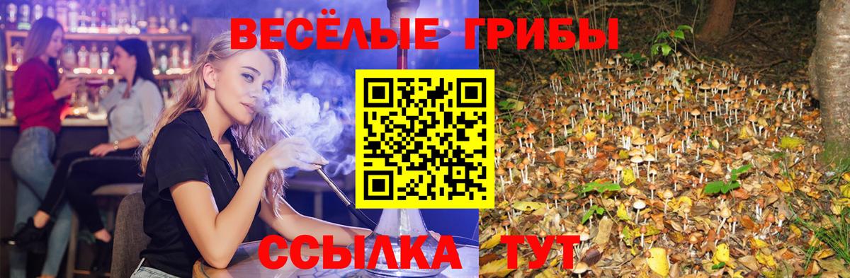 Борисоглебск  Галлюциногенные грибы прущие грибы  Псилоцибиновые грибы ЛСД  Вход с VPN 